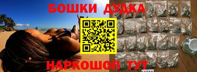 молекула духа Будённовск