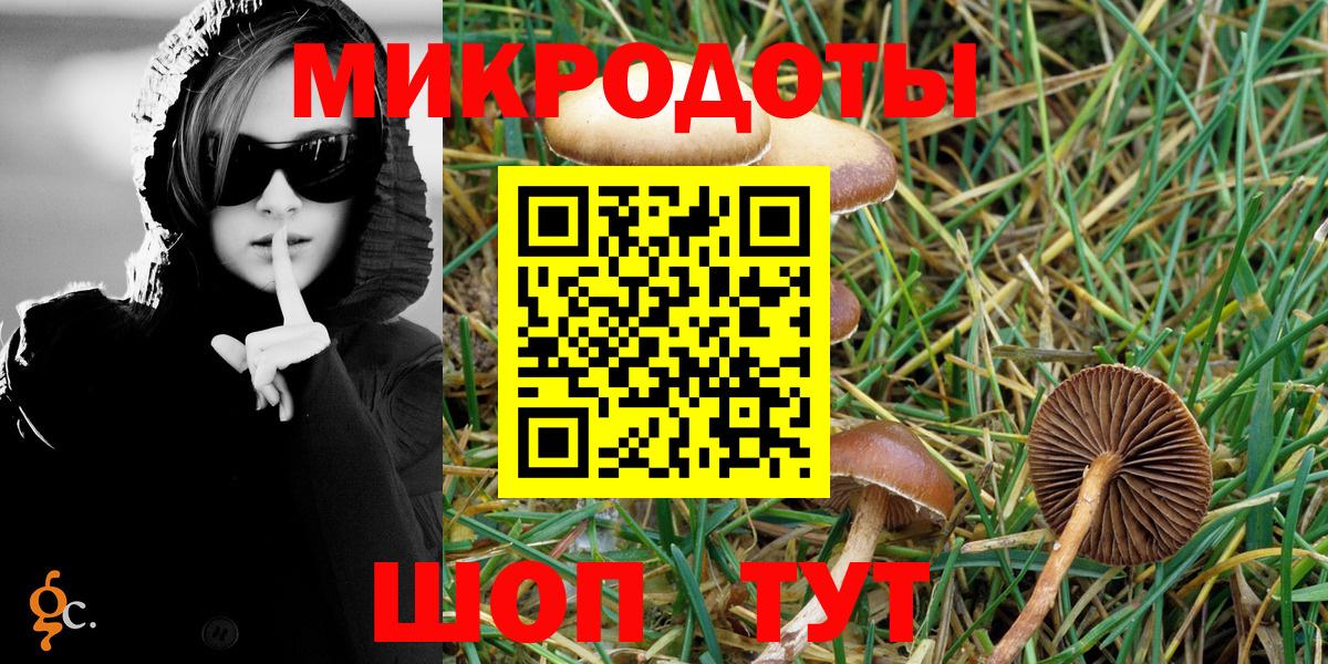 Псилоцибиновые грибы ЛСД Новодвинск