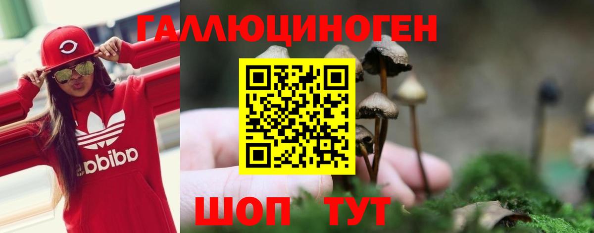 Новодвинск  Галлюциногенные грибы Cubensis  Вход с VPN  где найти наркотики  Галлюциногенные грибы Cubensis 